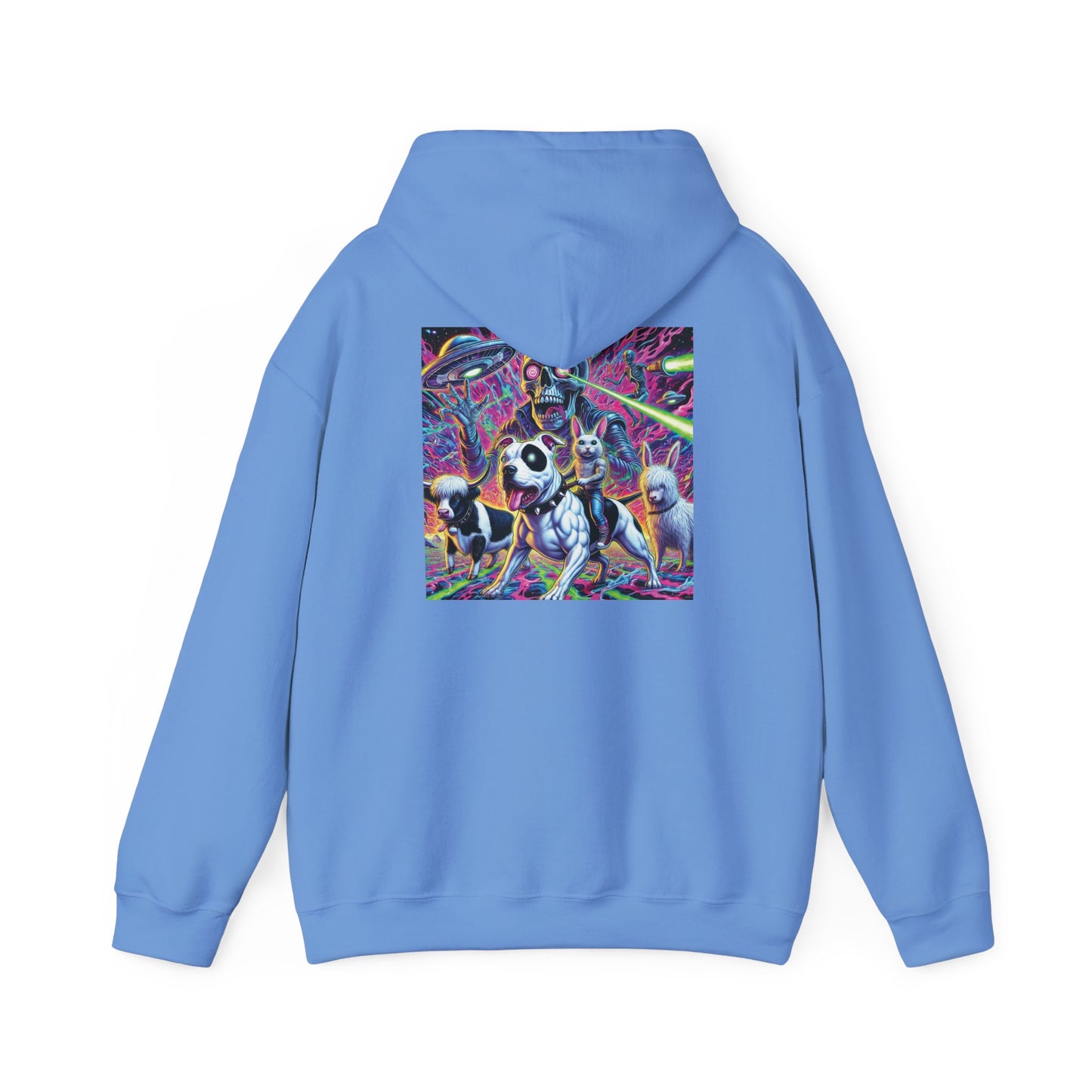 Graphic Heavy Hooded Sweatshirt
