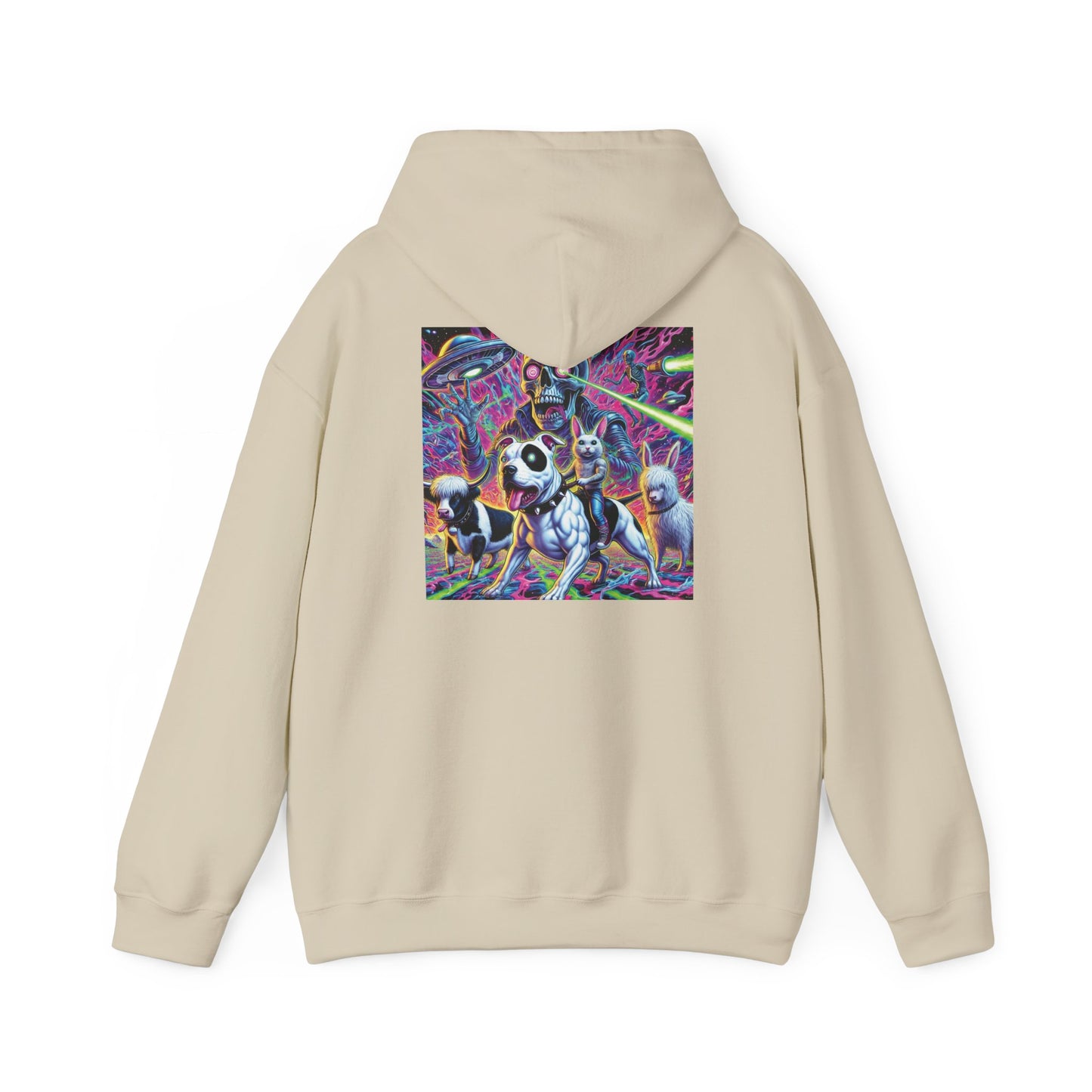 Graphic Heavy Hooded Sweatshirt