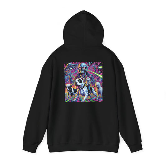 Graphic Heavy Hooded Sweatshirt